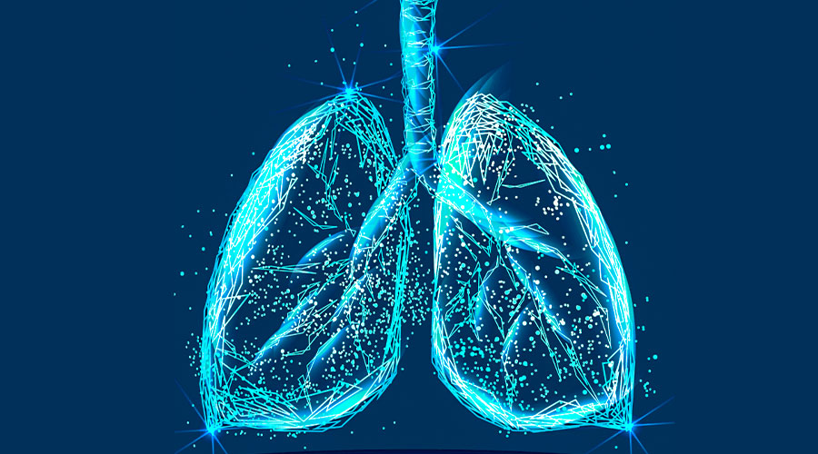 Lungs Clipart 768x848 Edit 1